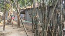 ধামরাইয়ে স্বামীকে গাছের সঙ্গে বেঁধে গৃহবধূ ধর্ষণ: কী ঘটেছিল সেখানে ধামরাইয়ে স্বামীকে গাছের সঙ্গে বেঁধে গৃহবধূ ধর্ষণ: কী ঘটেছিল সেখানে